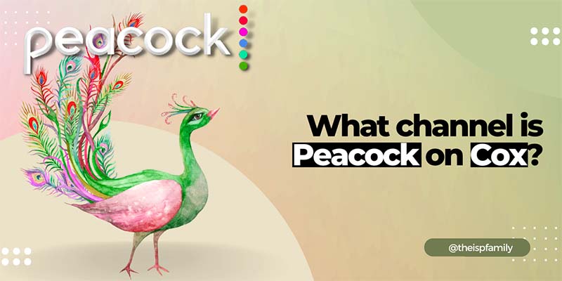 What Channel Is Peacock On Cox? (Answered) April 2023