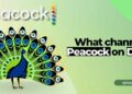 What Channel Is Peacock On Dish TV?