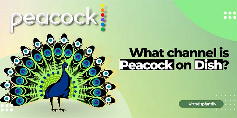 What Channel Is Peacock On Dish? (Answered) April 2023